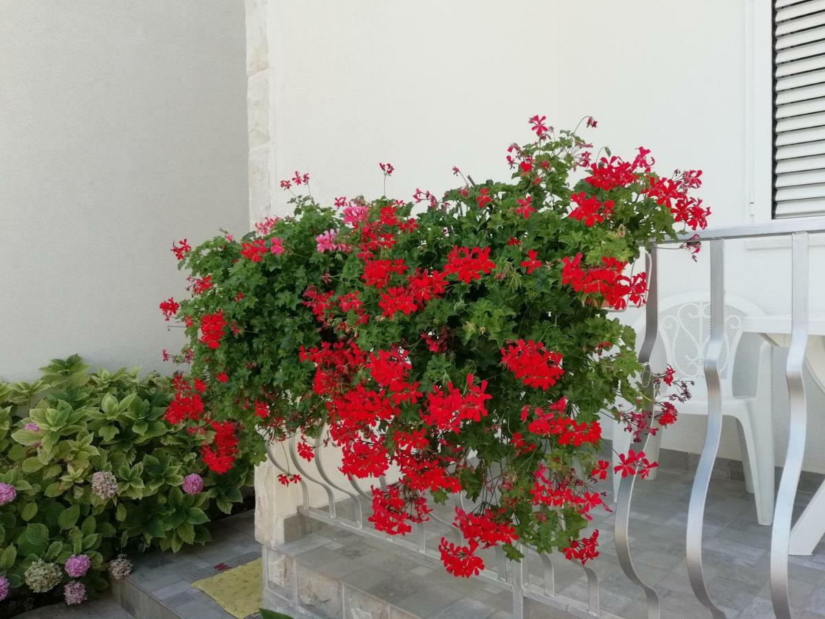 Apartments Vidovic فوديس المظهر الخارجي الصورة